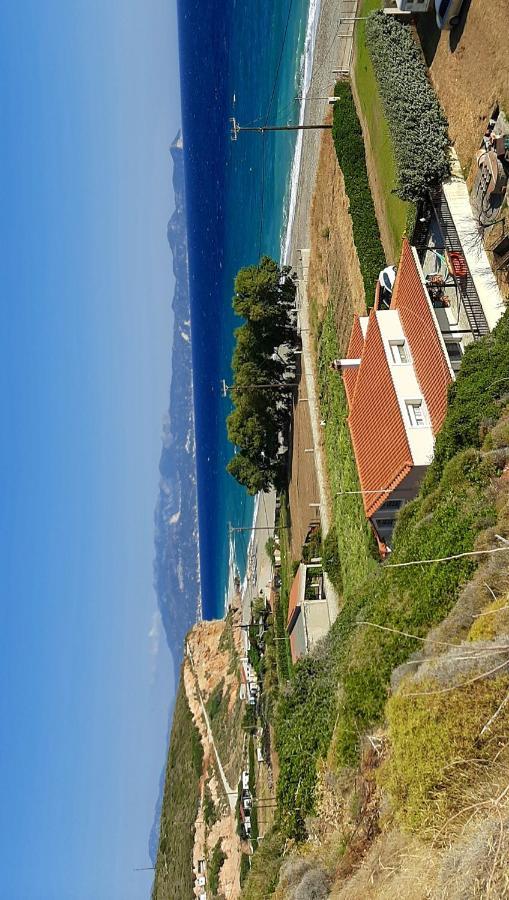 Villa Dimitra Муртери Екстериор снимка